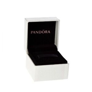 ✅ SOLD Pandora charm  Box (EMPTY)